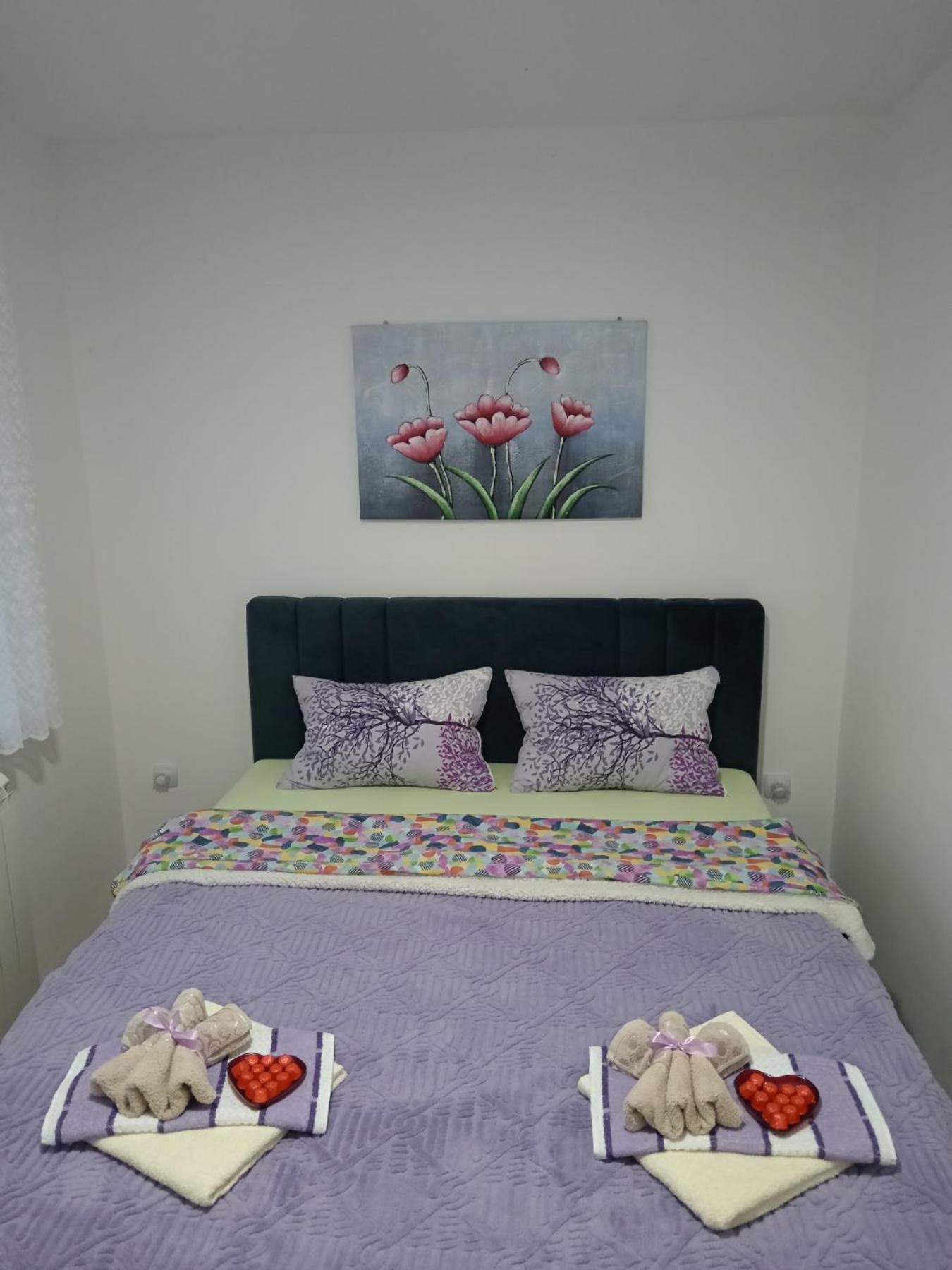 Apartman Lara Pirot Oda fotoğraf