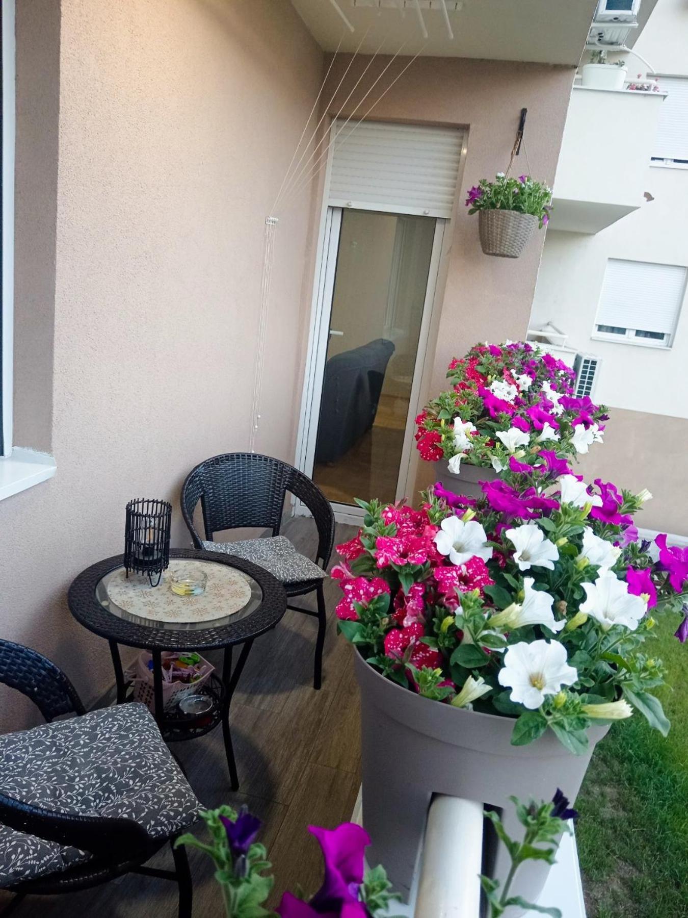 Apartman Lara Pirot Dış mekan fotoğraf