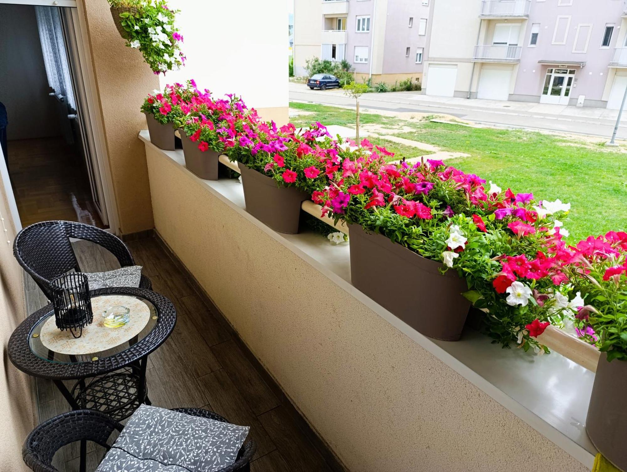 Apartman Lara Pirot Dış mekan fotoğraf
